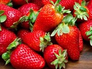 时髦女生的裤装哲学:造型师Petra来示范，穿长裤也能很性感