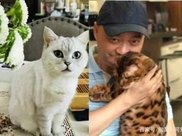 赵丽颖紧急辟谣怀孕传闻,疑似被人借势恶意炒作?