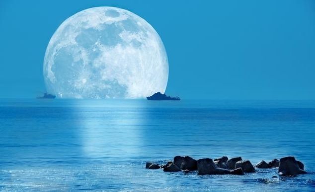 浙江省省市共建高校