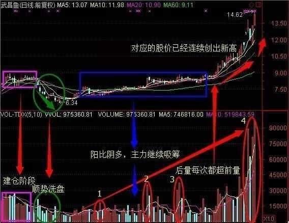 一位操盘手的告白：庄家洗盘到底在洗什么，看懂的没一个是穷人