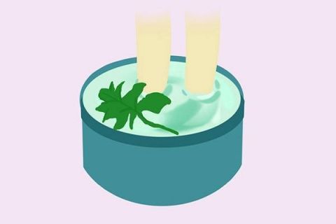 女性睡前常用艾叶泡脚 会有5个好处