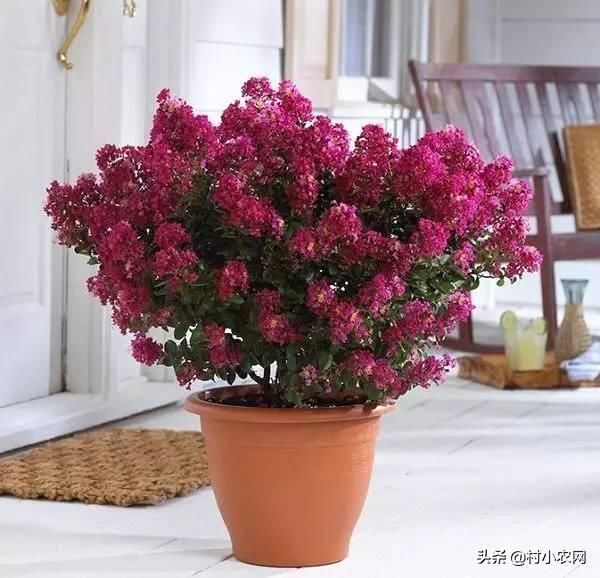 t0100c1c36d8d5cc649.jpg