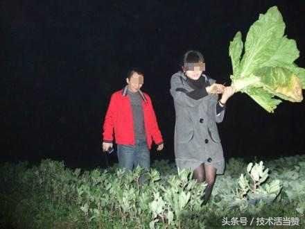 男子开车去偷青，归途太兴奋撞到树上，家属：追究菜地主人的责任