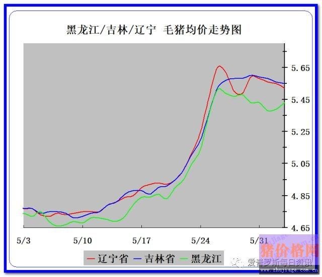 猪价行情小幅度震荡 猪肉市场消费慢慢孕育上涨行情