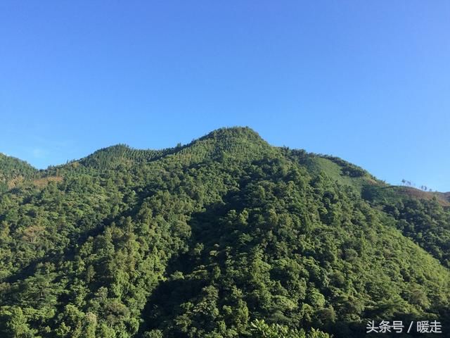 除了一亩三分地的补贴，农民还有更大的补贴！你的农业补贴领了吗