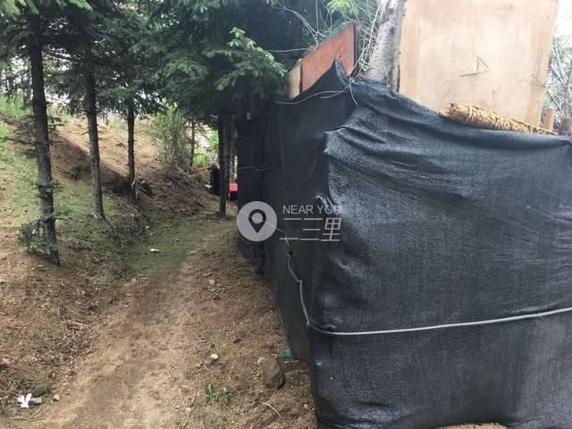 世外桃源?抚顺市莫地北路附近惊现“山中之城”