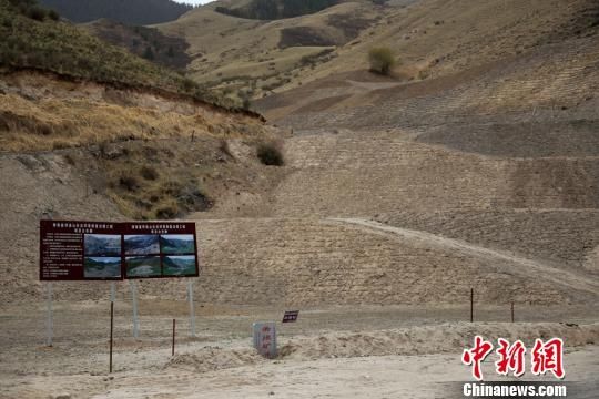 祁连山下栽树忙 治理矿区生态恢复提升地表植被