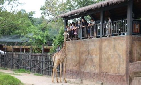 钢琴教师资格证