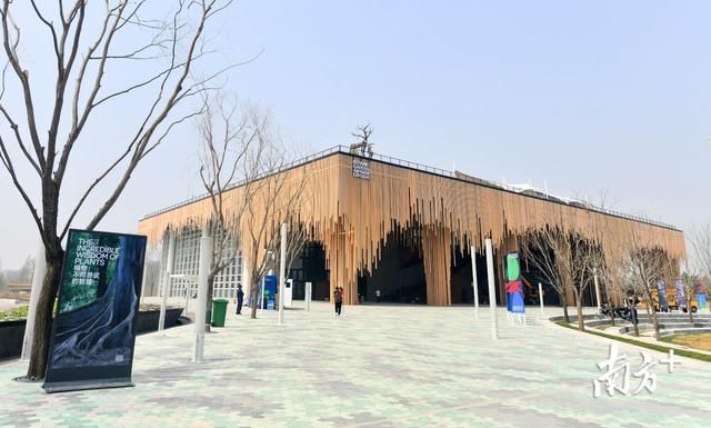 长城脚下广东绿!世园会今日在京开幕,快跟我们