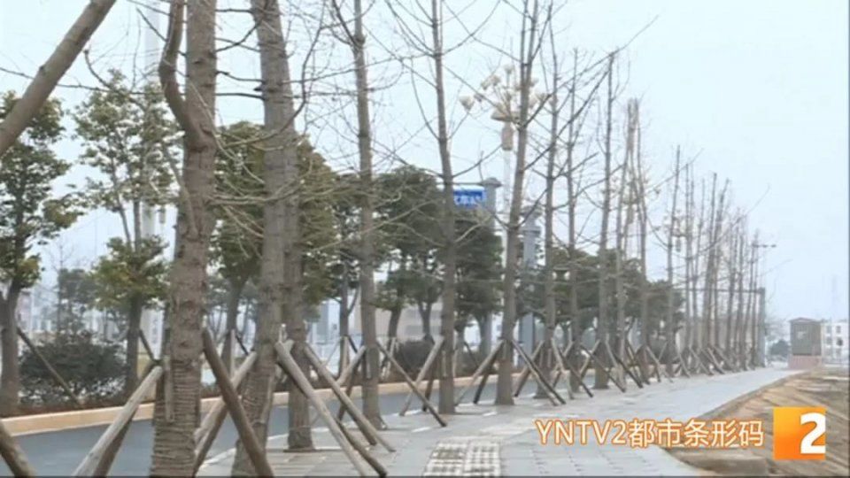 高铁来了!我们的生活改变了……第一站:曲靖