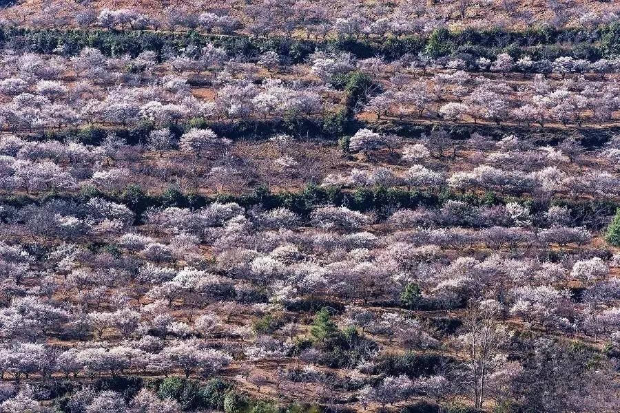 说好的过年昆明变空城呢?城里城外……分分钟被这场面惊呆了