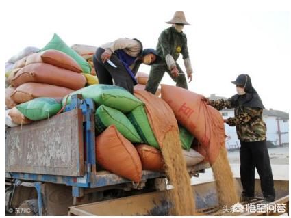 今年才刚刚过半，就有人问：明年粮食价格发展趋势将如何