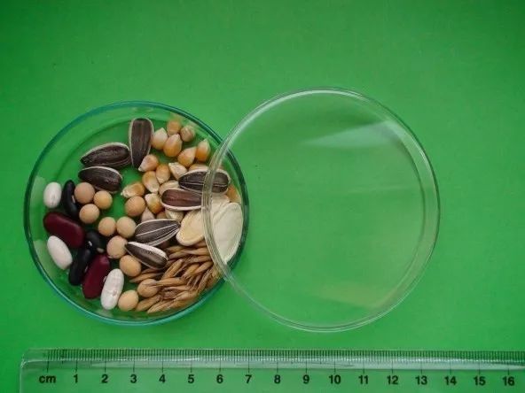 一个在北极埋下的时间胶囊,里面放了什么?