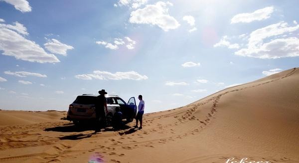 荒漠也不是荒漠了