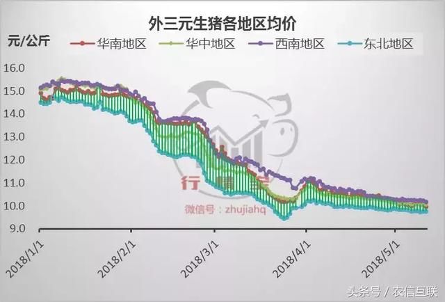 猪价到底，未来上涨可期！谨防“屠牛”大战悲剧再演！