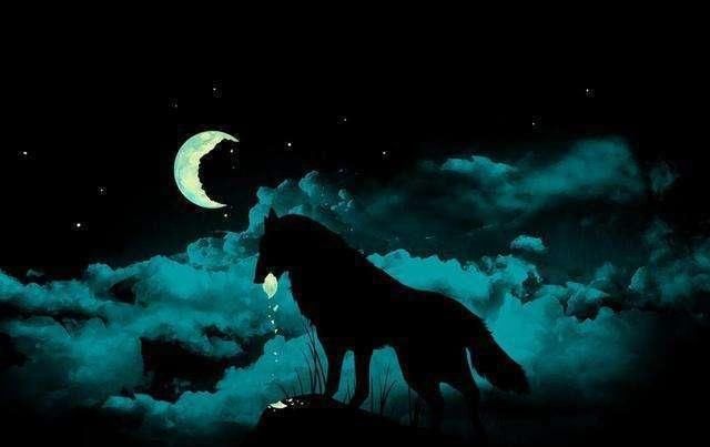 日食环出现的时间