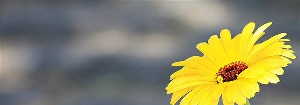 不是自己的心情说说