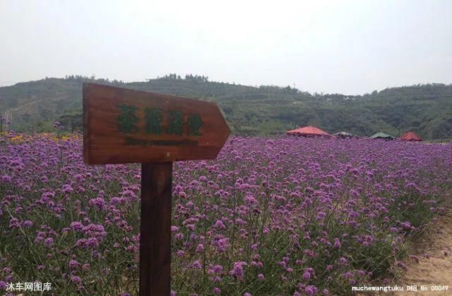 荐读：无法重来的一生