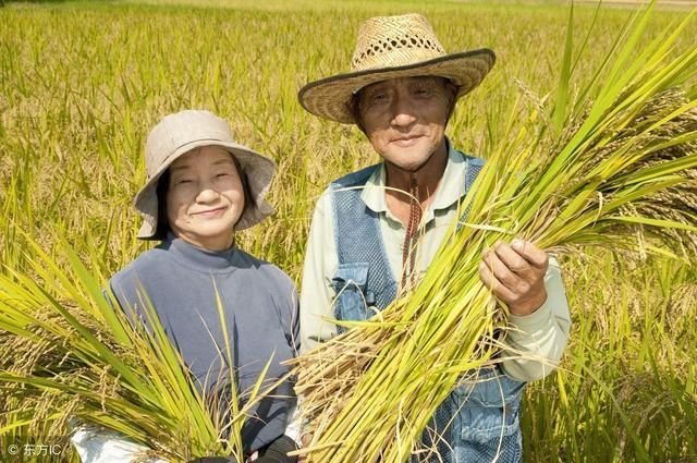 盘点中国农民一直以来面临的7个问题,2018年,改变才能有未来!
