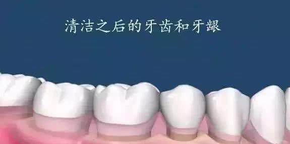 t01033cdb133fe9e7e3.jpg