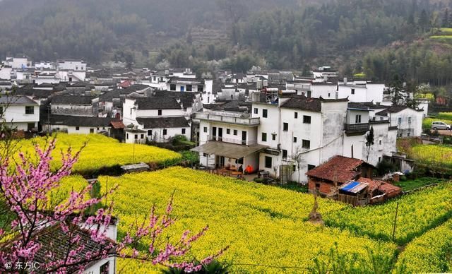 农村人到底是进城买房还是继续留在农村？听听专家怎么说？