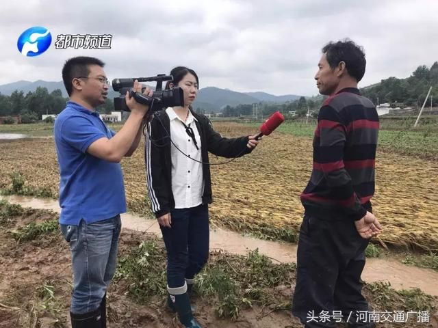 南阳突遭暴雨！淅川、邓州受灾严重，水深齐腰、房屋受损……