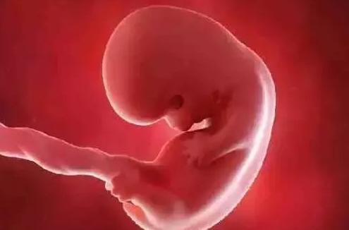胎儿长得最快是什么月份? 吃得好宝宝就能长得