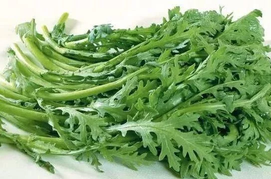 高血压最怕的蔬菜,降压效果强过芹菜上百倍 - 黑杏 - 黑杏 高血压最怕的蔬菜,降压效果强过芹菜上百倍 - 黑杏 - 黑杏