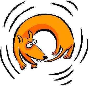 你幸福吗遇各种神回复,事隔多年再问,你会如