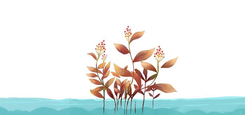 刚和他谈恋爱，我就当了他妈