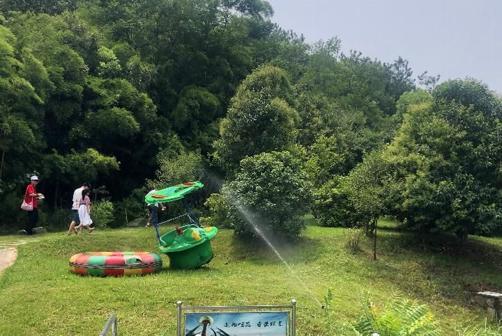 武汉黄陂一处自然盛开地,景空调少如鲜花美人诺贝宠物食品图片