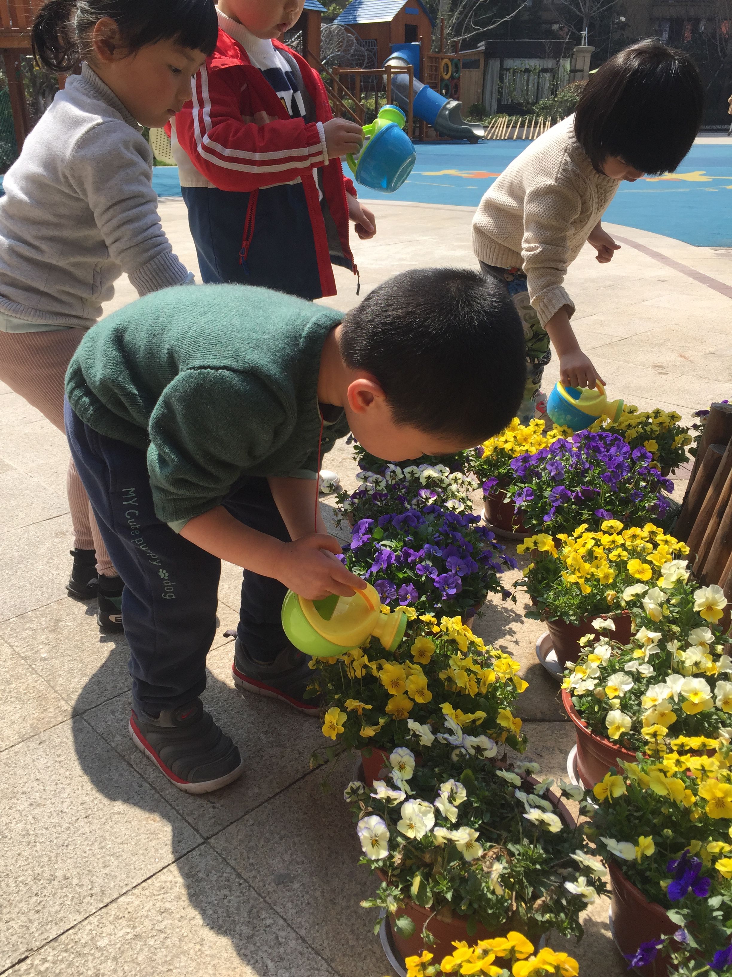 幼儿园幼师教案范文_幼儿启蒙舞蹈教案范文_幼儿园幼师教案范文