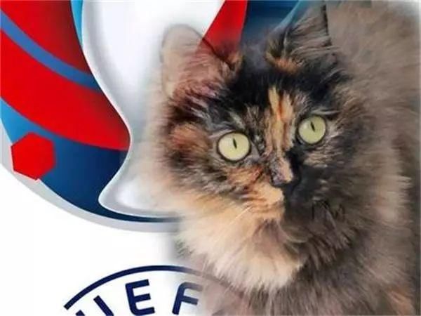 原创俄罗斯世界杯神预测!喵星人上位,挑战章