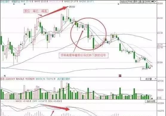 这种股谁碰谁死,炒股的快点来看看吧!