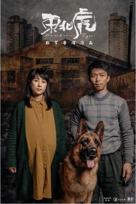 喜剧演员不演喜剧