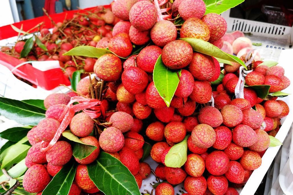 新上市六月蜜10块钱一斤 杏子价格波动很大 5