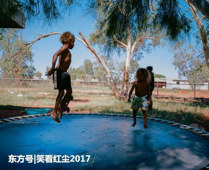 来自澳大利亚的有趣照片 来自澳洲的那些趣事，袋鼠乱穿马路，蛇