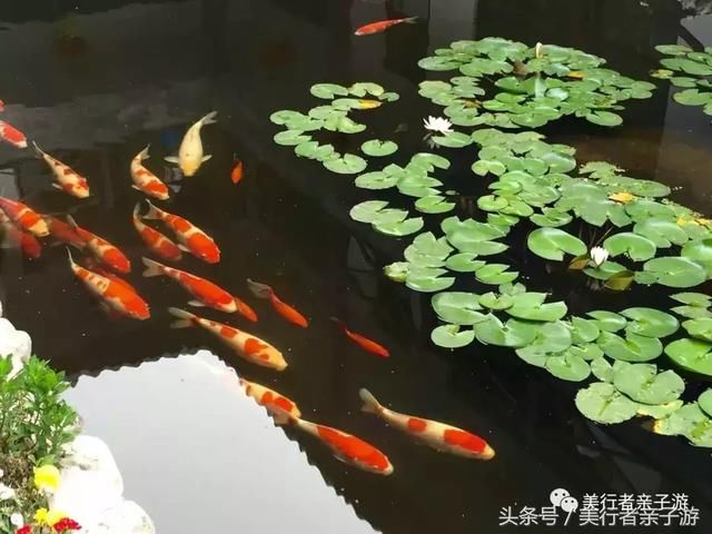 独家｜五一不涨价！人均200+，即可入住长城边儿上的荷塘月色！