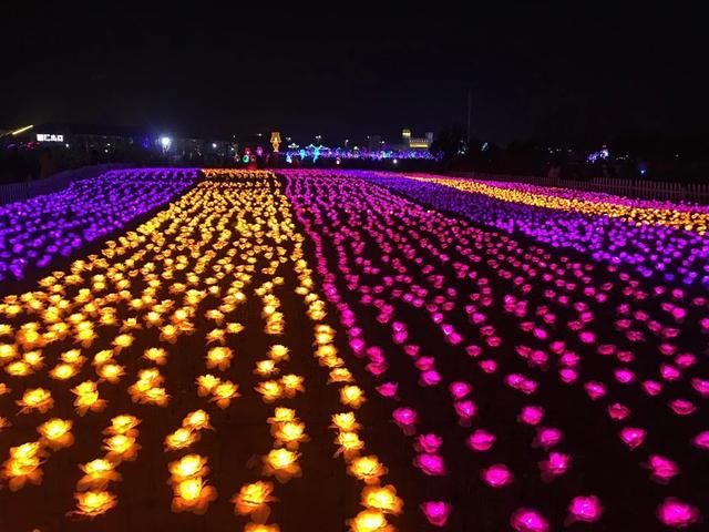 五一旅游好去处：洛阳！城市旅游不虚此行