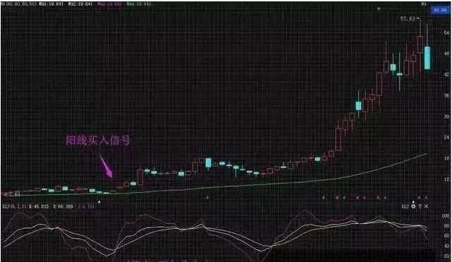 假如我当初没有炒股，我的结局会不会不一样？