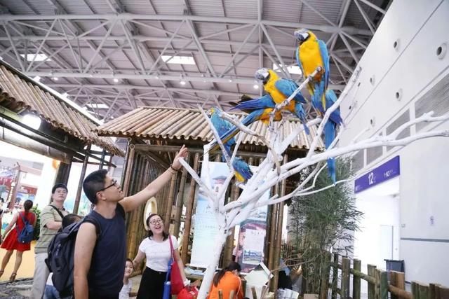 关注|重庆国际旅游狂欢节来啦!众多优惠福利等