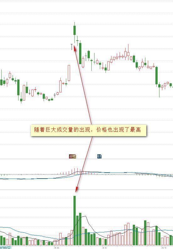 32岁海归女交易员肺腑独白：记住这些量价特征，快人一步跟庄吃肉