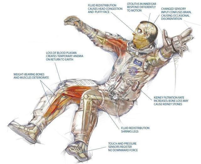 为什么宇航员从太空回来都要坐轮椅?