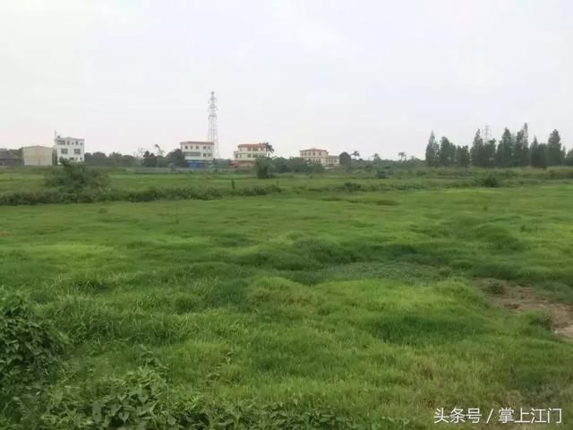 地价刷新高！双水首块38亩商住用地成交价1.7亿元！