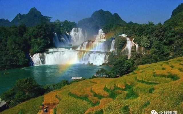 不小心惊艳了世界