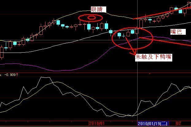 华尔街顶尖交易员的再三告诫：坚持看BOLL技术指标，赚翻天