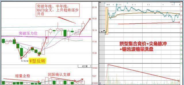 香港一女博士说破股市：股市十口诀顺中口溜，盈利至今，熟背6句