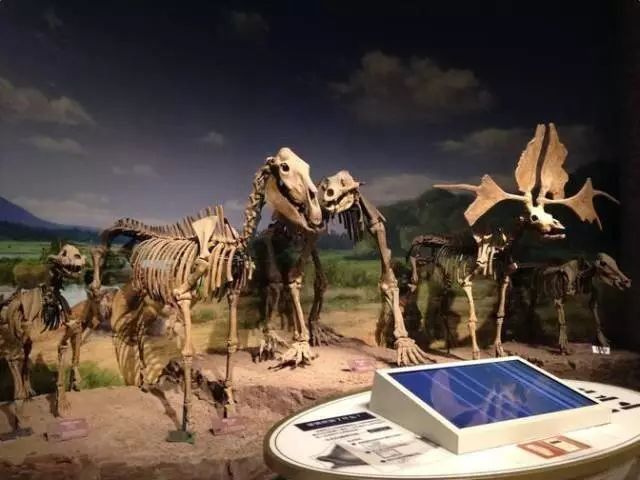 南京这些超适合一日游的地方,每一个都美如画!不看要后悔!