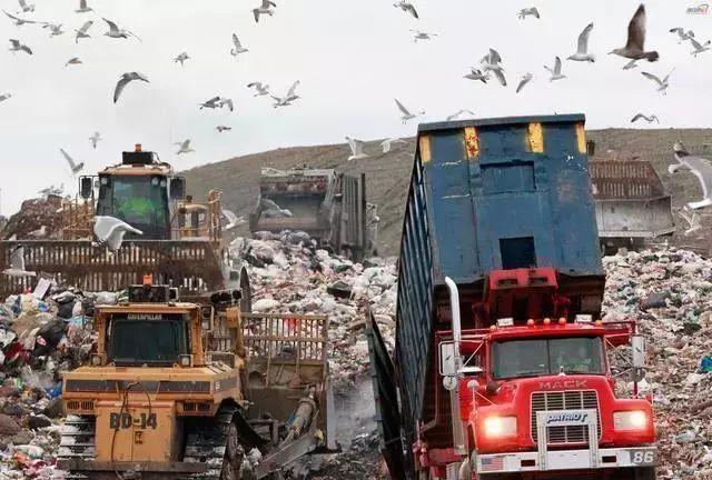 要么运走垃圾,要么开战:菲律宾为什么这么痛恨