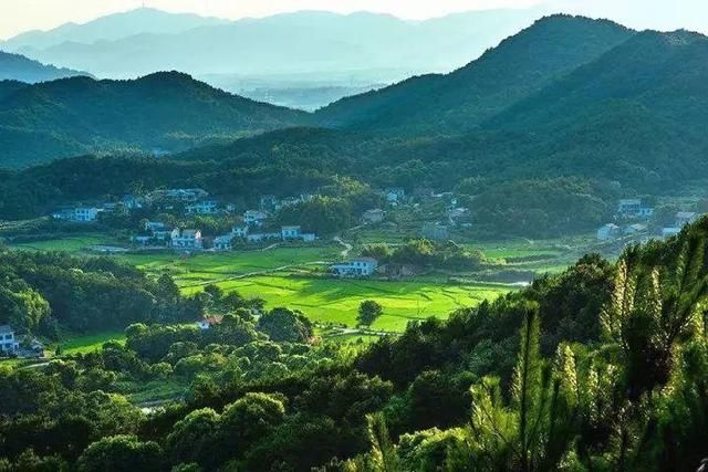 振静股份:首次公开发行股票网上申购情况及中